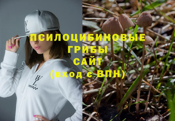 первитин Алексеевка