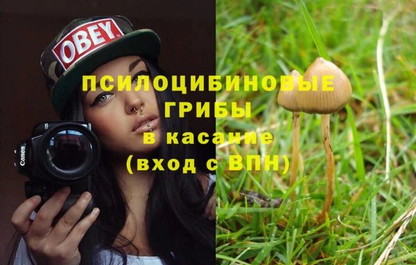 тгк Алзамай