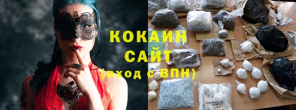 тгк Алзамай