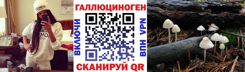 Псилоцибиновые грибы MAGIC MUSHROOMS Бологое